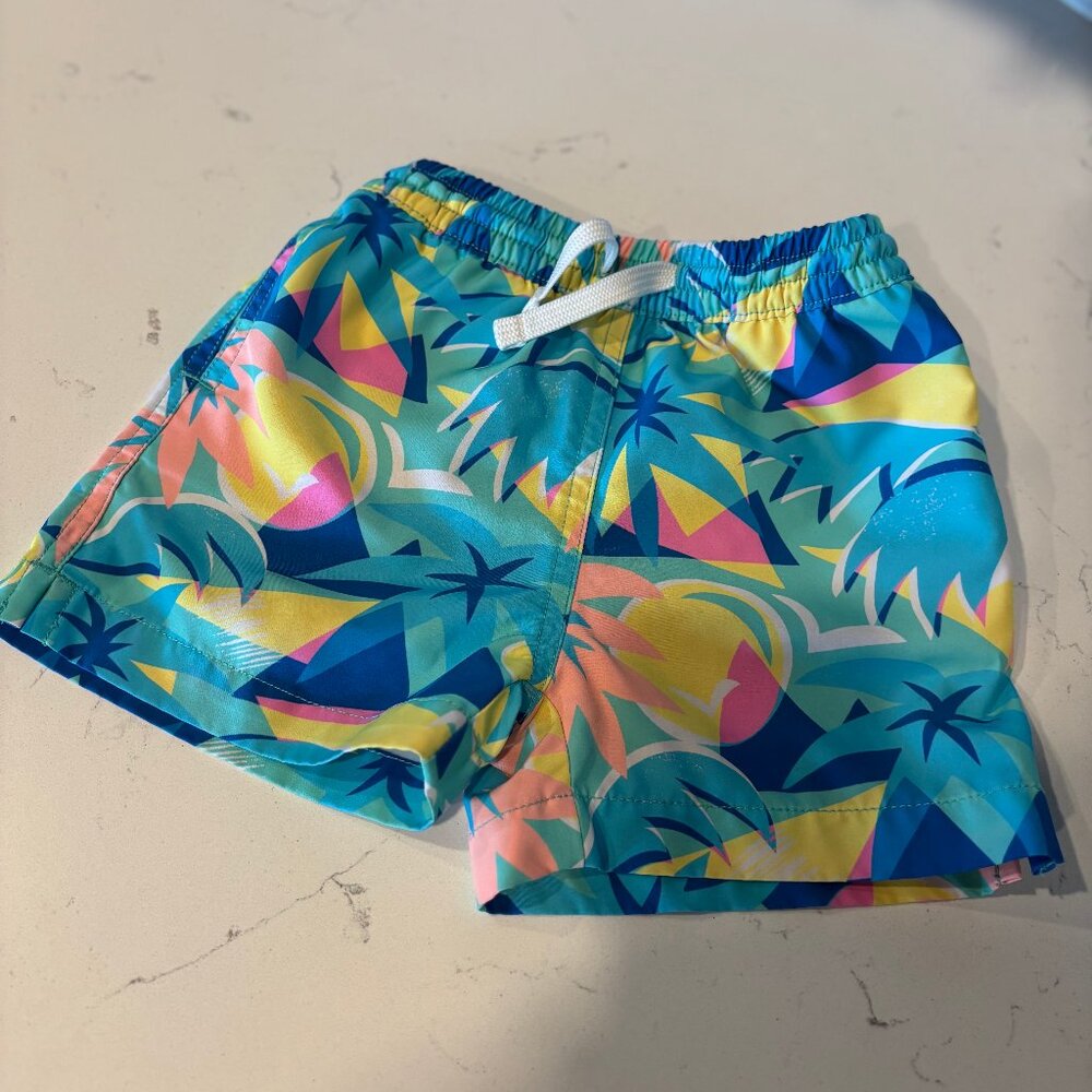 3T Boys Chubbies Swim trunks - The Mini Wave Dashers